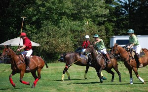 PHOTO_polo demonstration at Upper Canada Village - Horse Festival