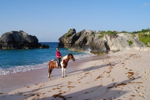 Bermuda Riding 2