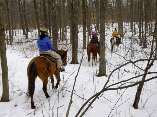 horseback riding in the winter