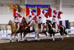 Canadian Cowgirls
