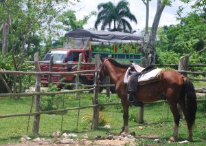 4. Two forms of transportation at HorsePlay Punta Cana