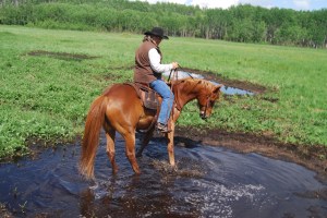 Gord Vaadeland from Sturgeon River Ranch Adventures 