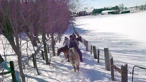 horse trail ride conestogo