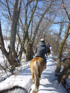trail riding horsetrotting.net