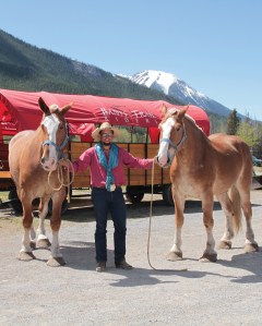 two horses and trainer