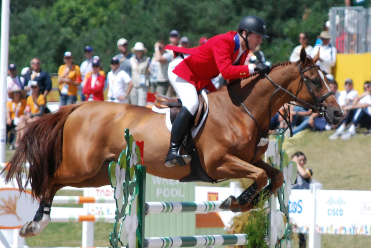 Individual JIndividual Jumping Gold Medalist U.S. Mclain Ward on Rothchild