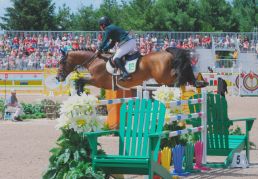 The Muskoka Chair Oxer