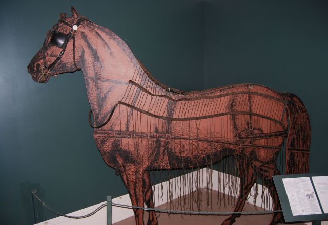 Pioneer Horse Fly Net