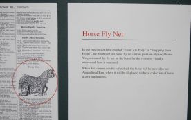 peterborough Telenko 006 - Copy