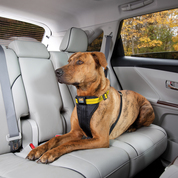 TFSH_3085_01__04451.1402951819.178.178