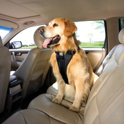 TFSH_black_large_01__64742.1398777776.178.178