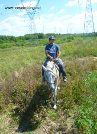 Norm the trail horse at Big Creek Stables