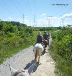 Riding the rural trail along Big Creek Road