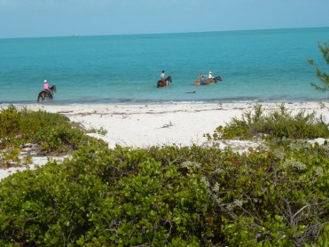 Horseback Riding at Long Bay Beach with Provo Ponies while travelling in Turks and Caicos