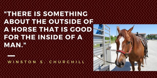 wordless Wed Quote 1