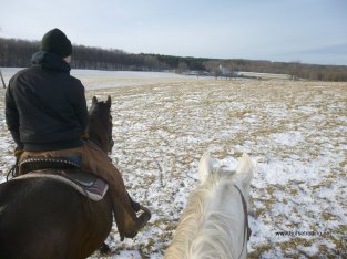 horseback trail riding Caledon, Ontario
