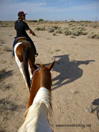 Riding at KOLI Equestrian Center, Arizona