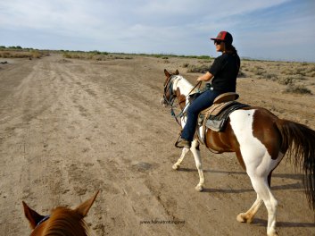 Riding at KOLI Equestrian Center, Arizona