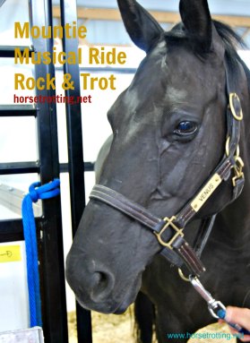 RCMP lead horse image