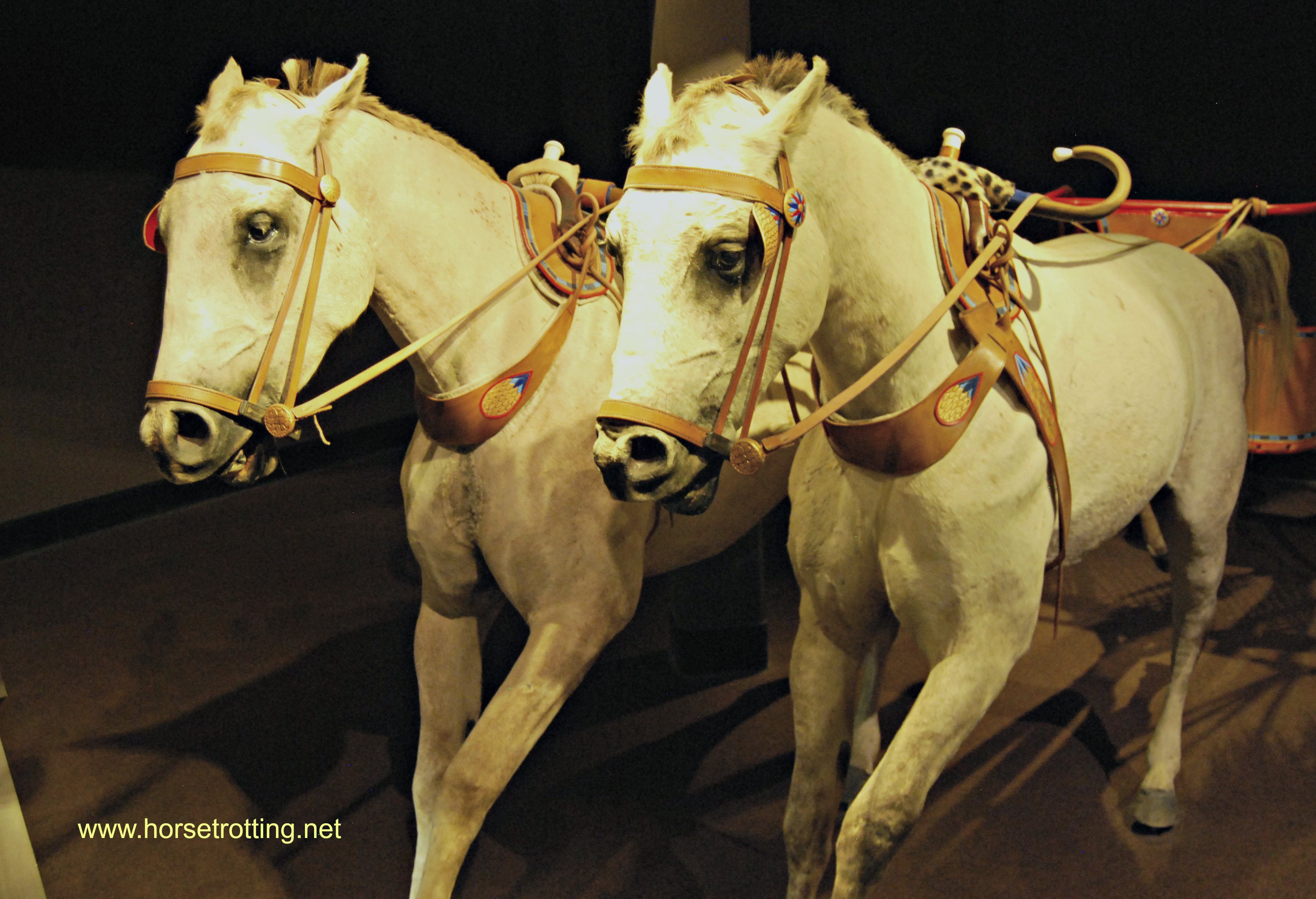 International Horse Museum, Lexington, Kentucky