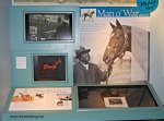 International Horse Museum, Lexington, Kentucky