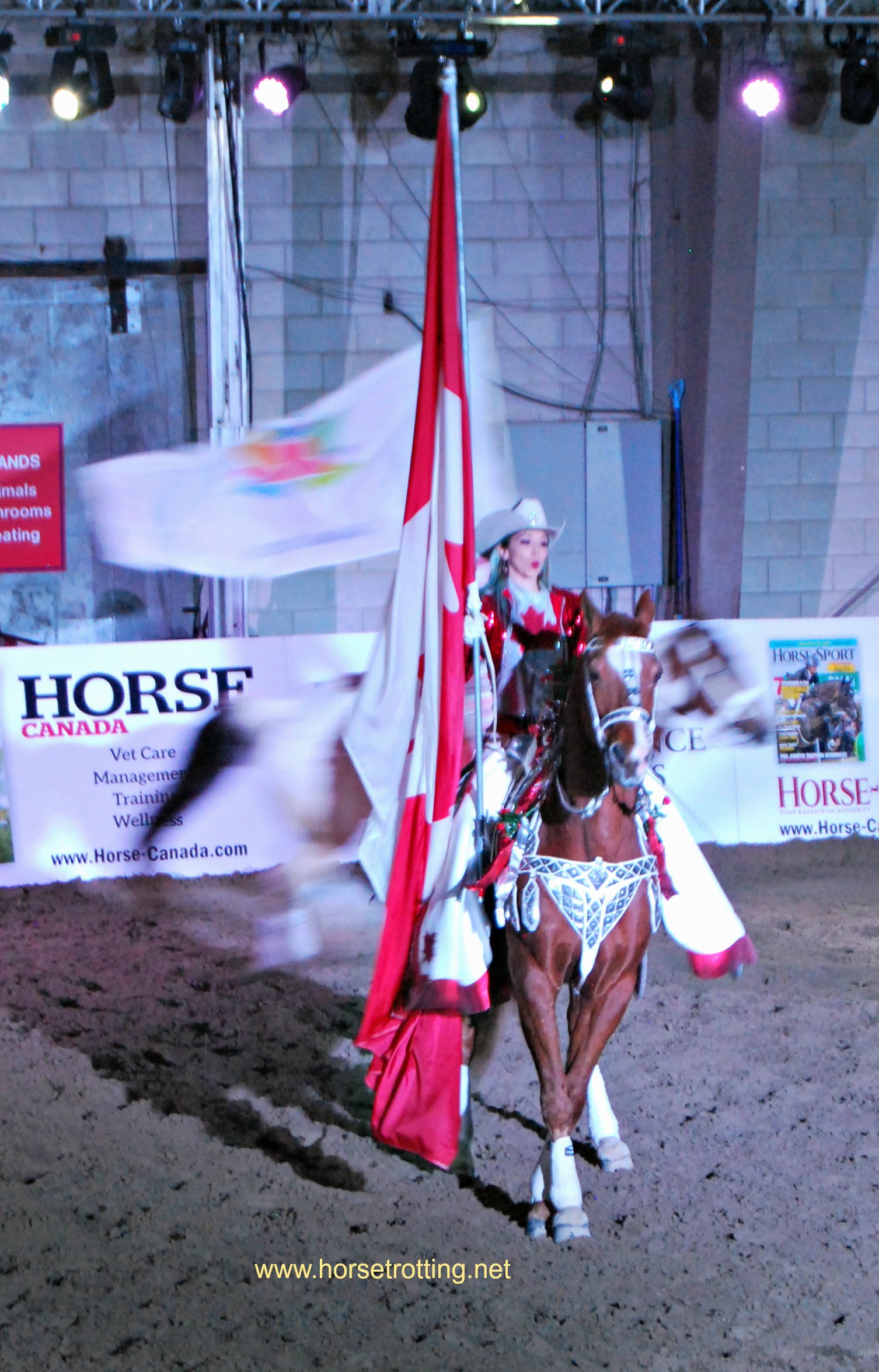 Canadian Cowgirls Can-Am All Breeds Equine Expo 2017