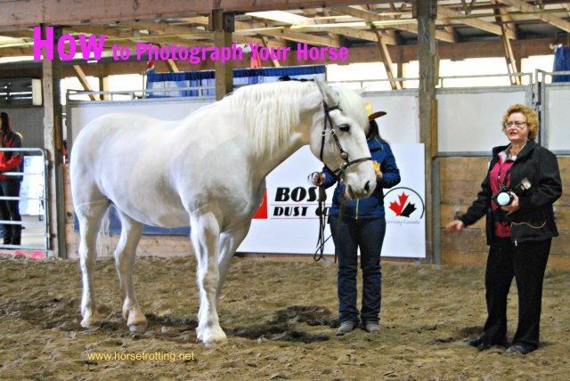 Shawn Hamilton CLIx horse photo clinic at Can Am Expo