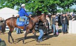 Barns and Backside Tour Derby Week Churchill Downs Louisville, KY