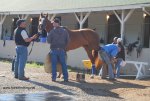 Barns and Backside Tour Derby Week Churchill Downs Louisville, KY
