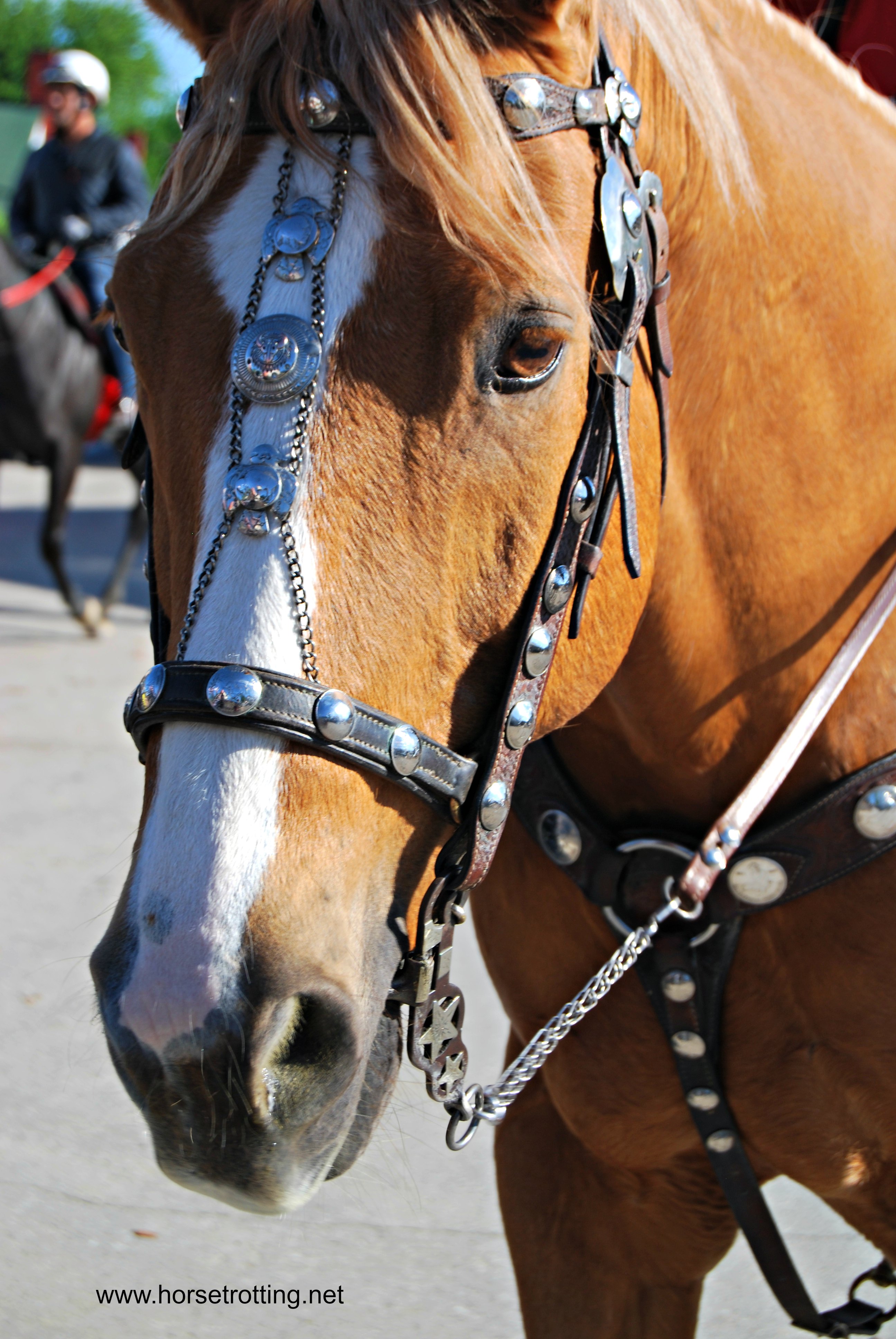 Barns and Backside Tour Derby Week Churchill Downs Louisville, KY