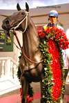 Kentucky Derby Museum Louisville, KY
