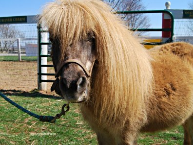 Old Friends Little Silver Charm