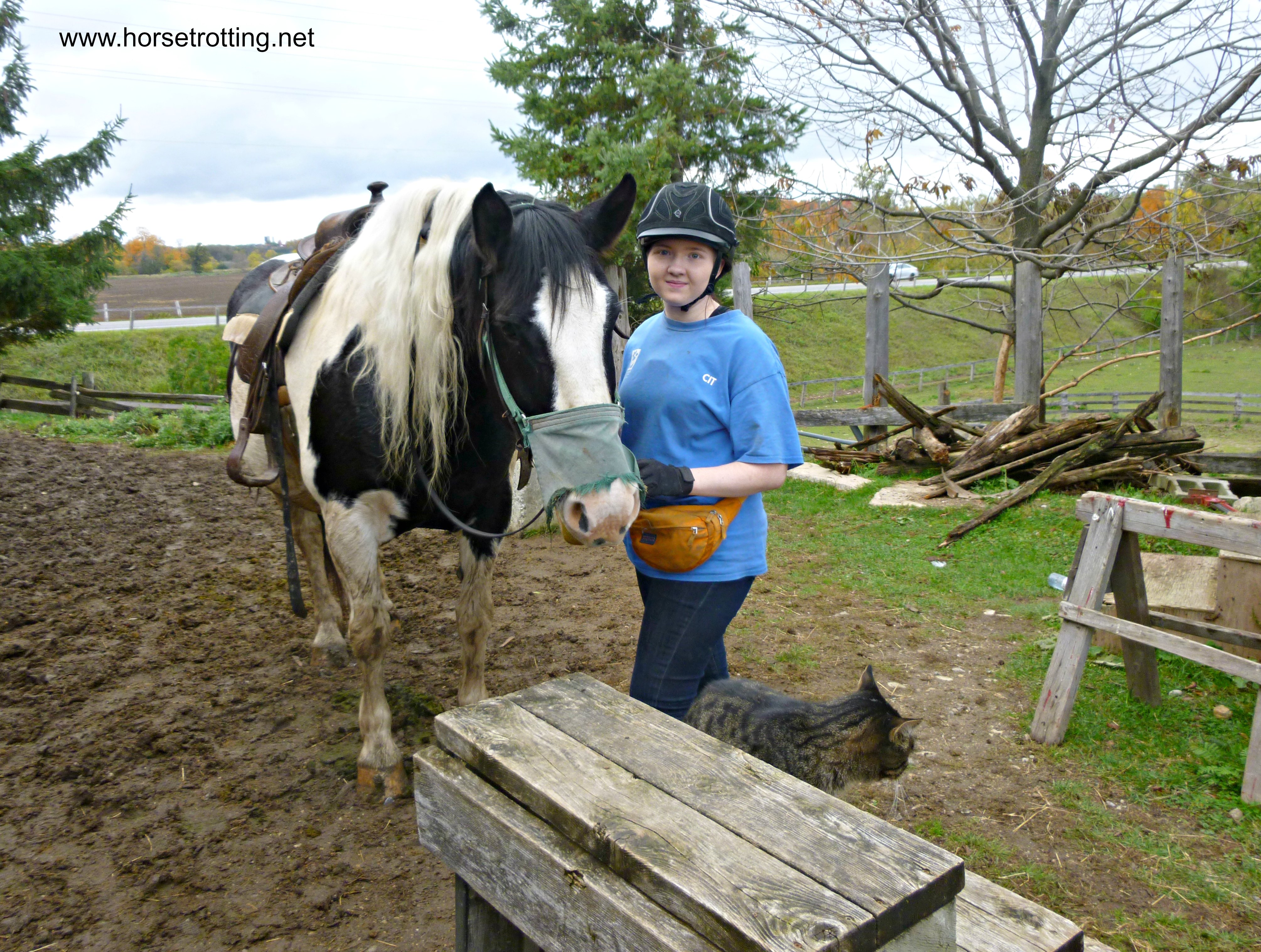 Saddling up at Conestoga River Horse Adventures, Waterloo, Ontario