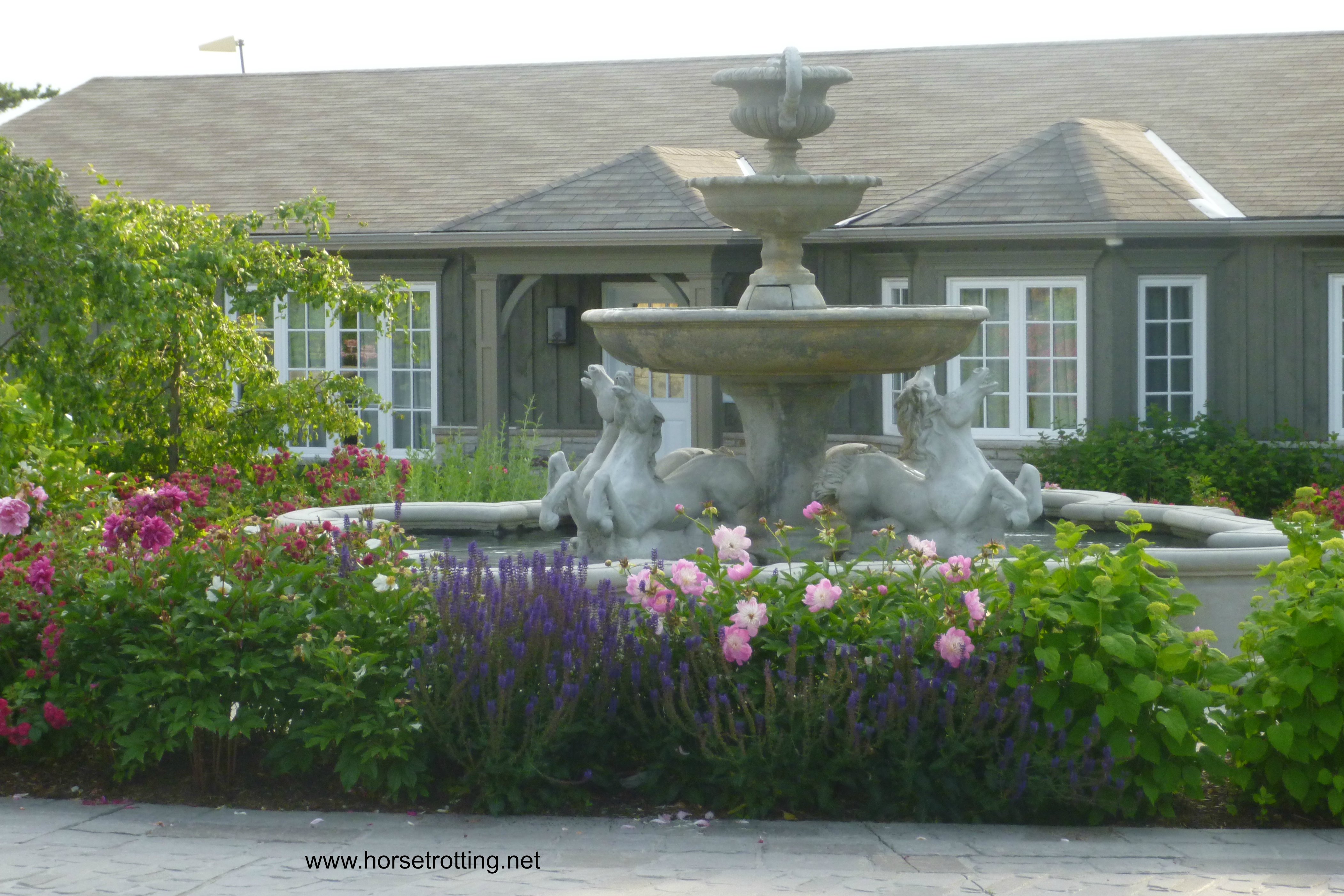 Dog Tales Dog Rescue and Horse Sanctuary