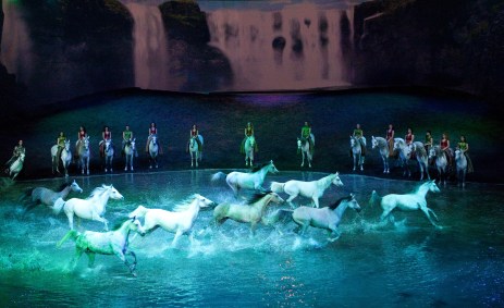 White horse in water during Cavalia Odysseo show