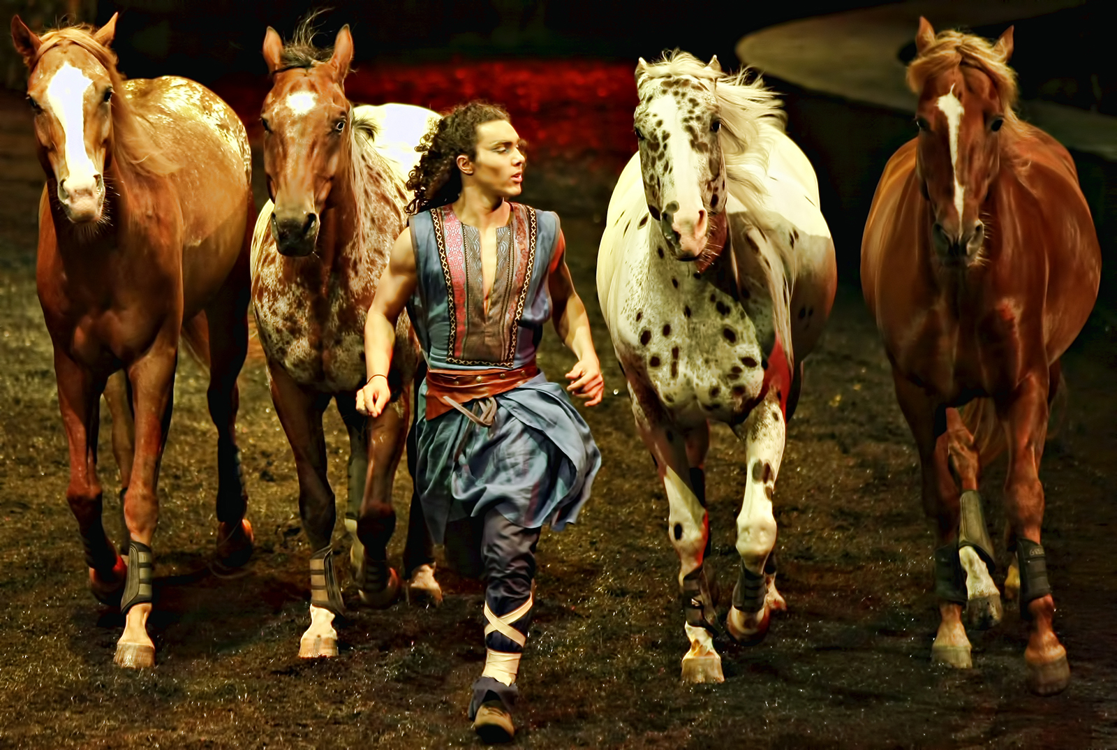Four horses and trainer during Cavalia Odysseo show