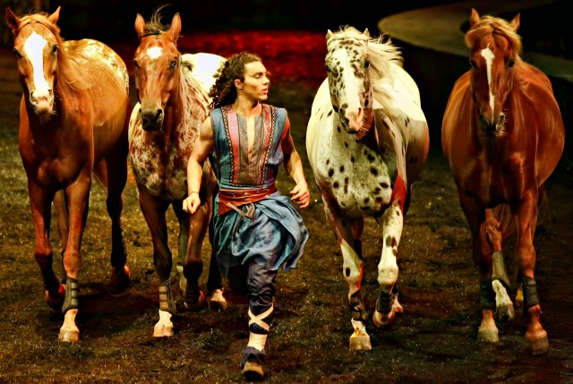 Four horses and trainer during Cavalia Odysseo show