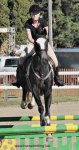 Horse jumping competition at the Norfolk County Fair, Simcoe, Ontario