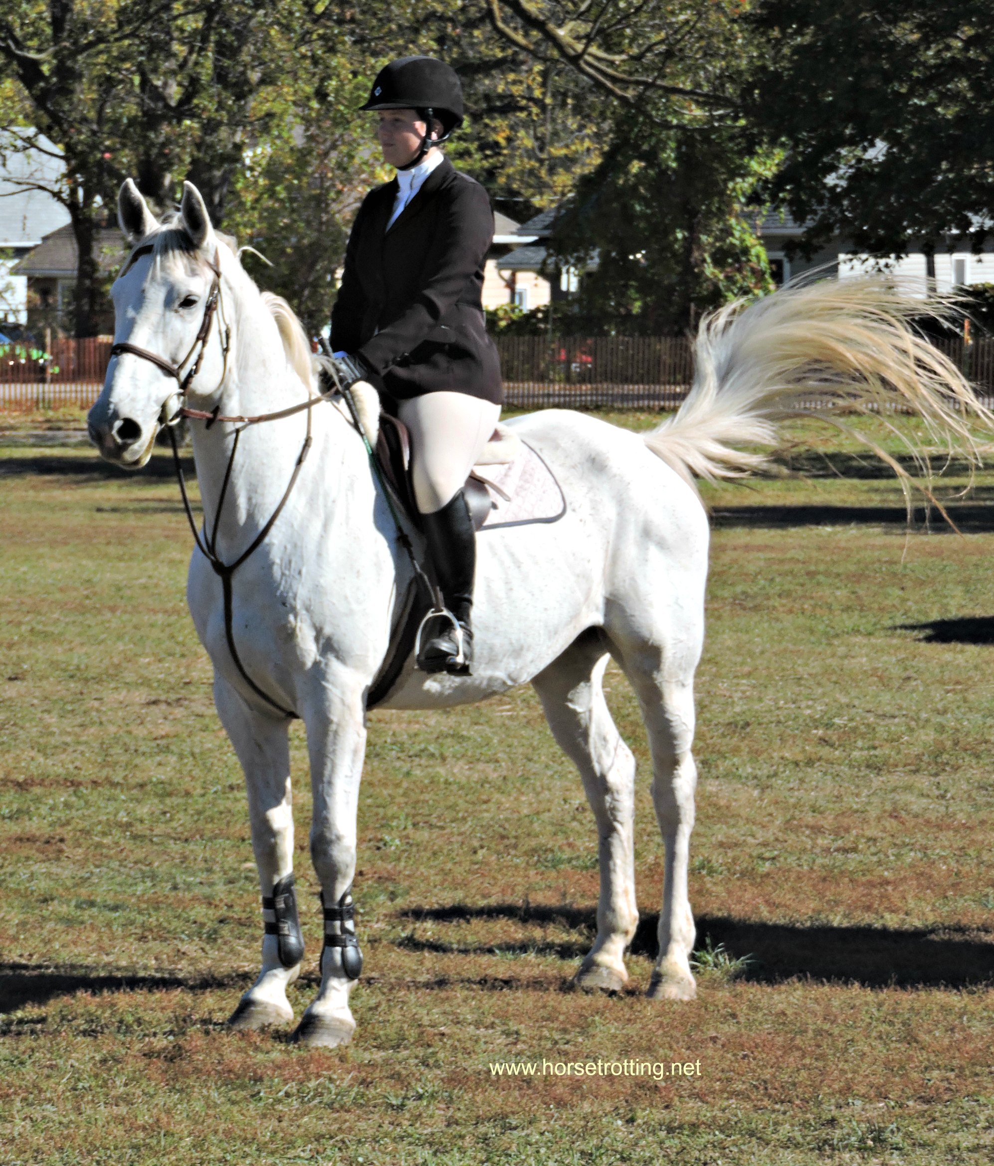 Horse jumping competition at the Norfolk County Fair, Simcoe, Ontario