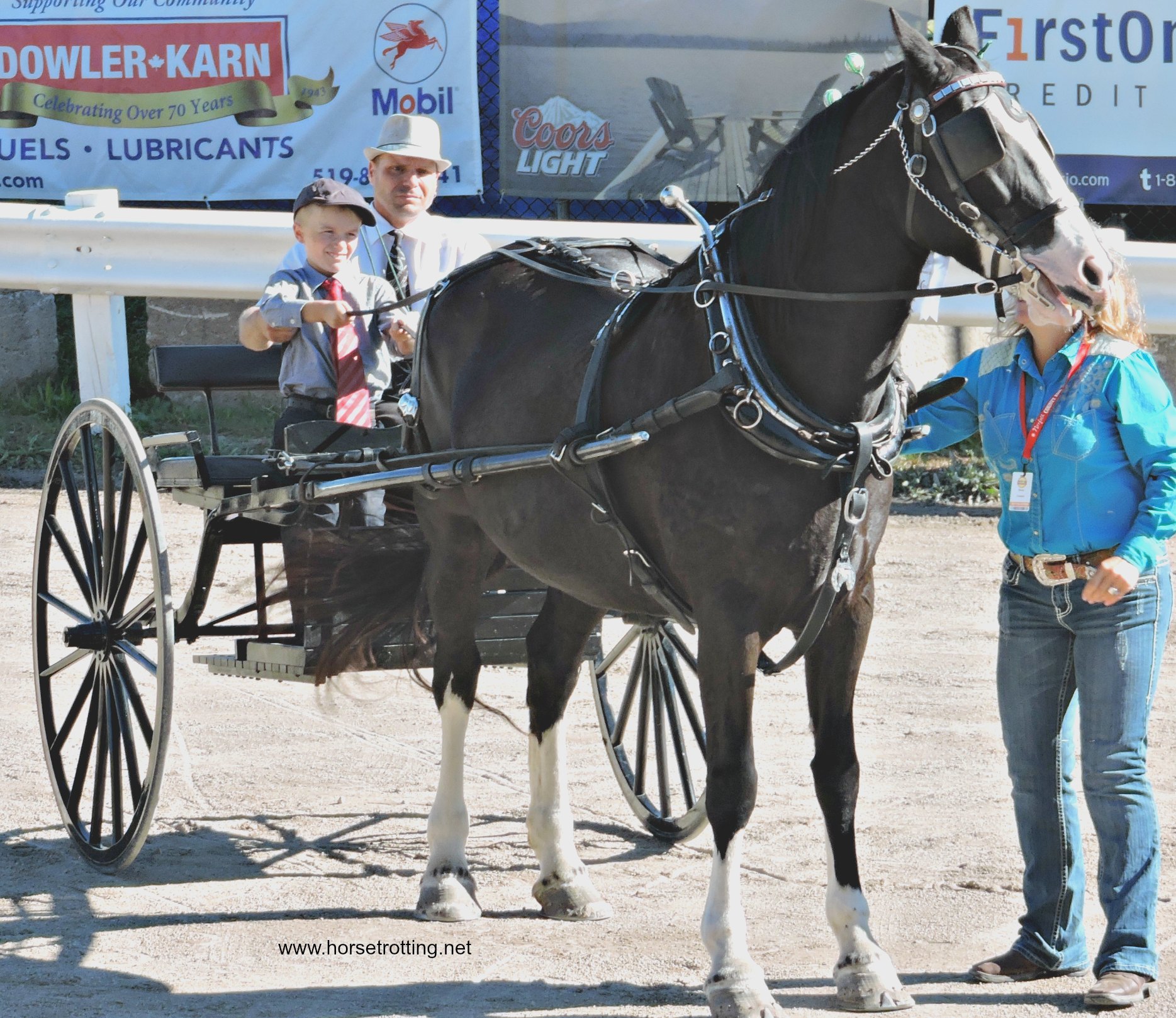 Junior Horse-hitch competition at the Norfolk County Fair, Simcoe, Ontario