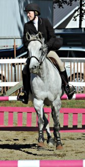Horse jumping competition at the Norfolk County Fair, Simcoe, Ontario