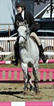 Horse jumping competition at the Norfolk County Fair, Simcoe, Ontario