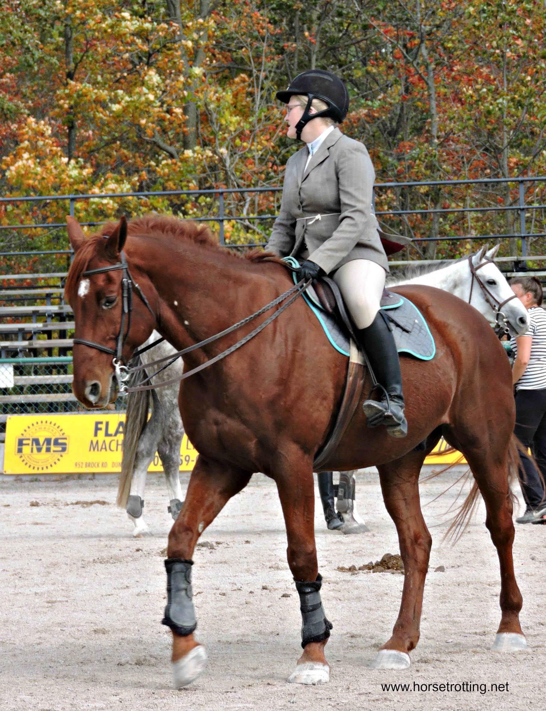 Hunter Jumping competition at the Rockton World's Fair, Rockton, Ontario