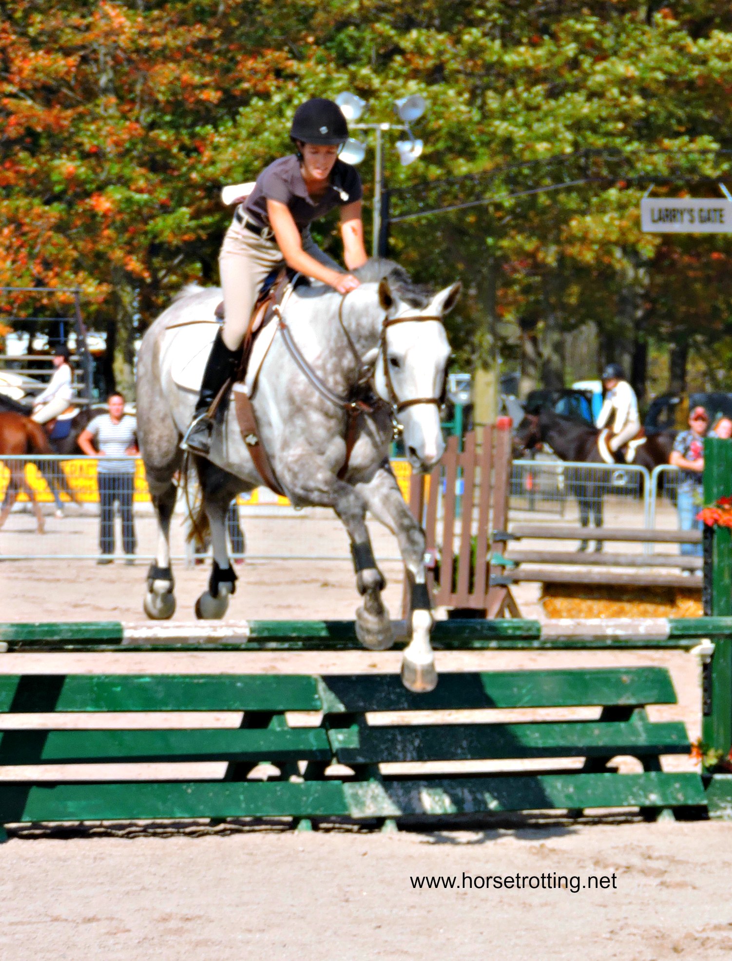 Hunter Jumping competition at the Rockton World's Fair, Rockton, Ontario