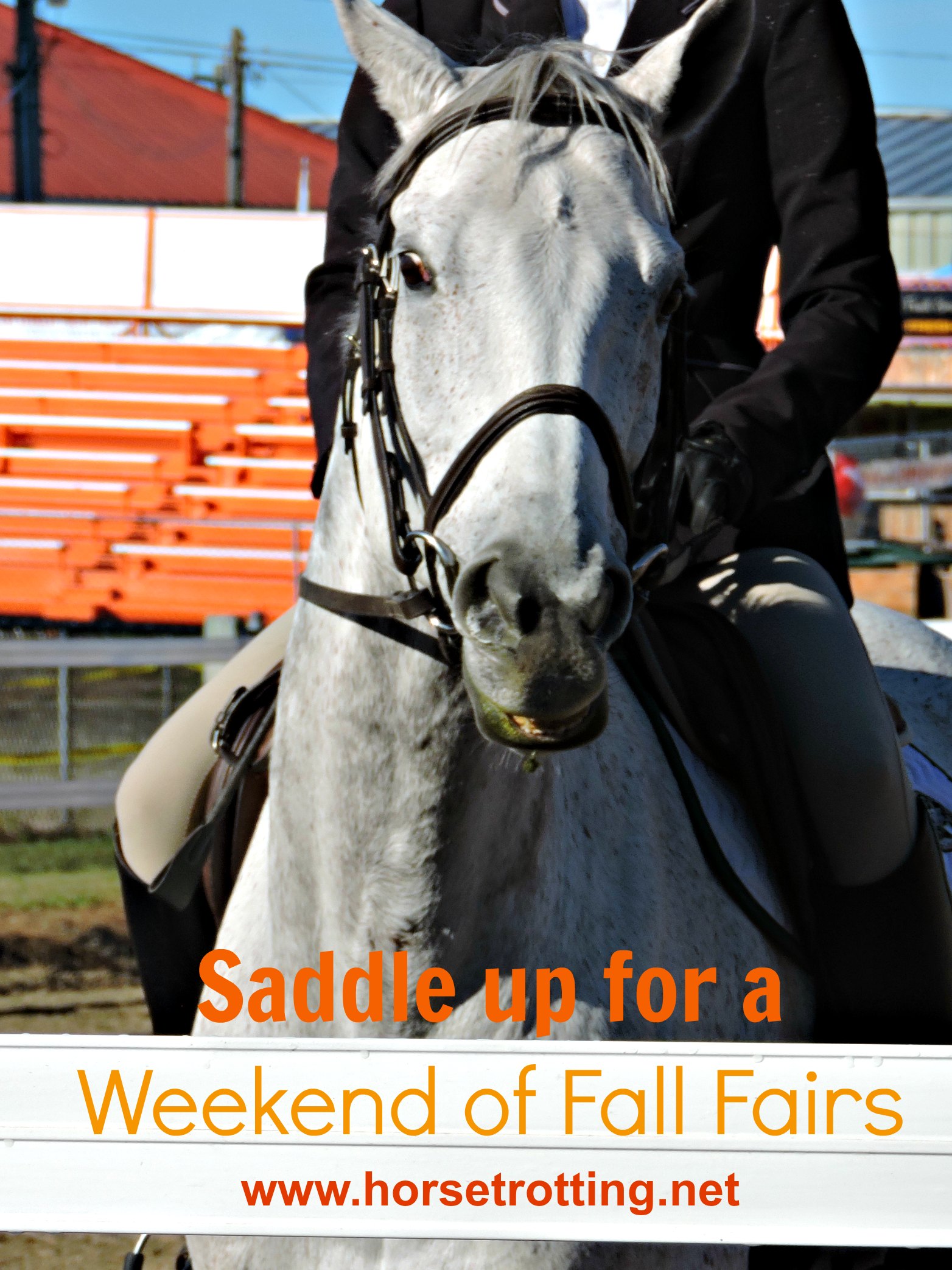 Horse jumping competition at the Norfolk County Fair, Simcoe, Ontario