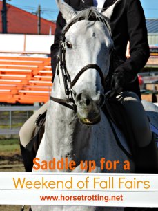 Horse jumping competition at the Norfolk County Fair, Simcoe, Ontario