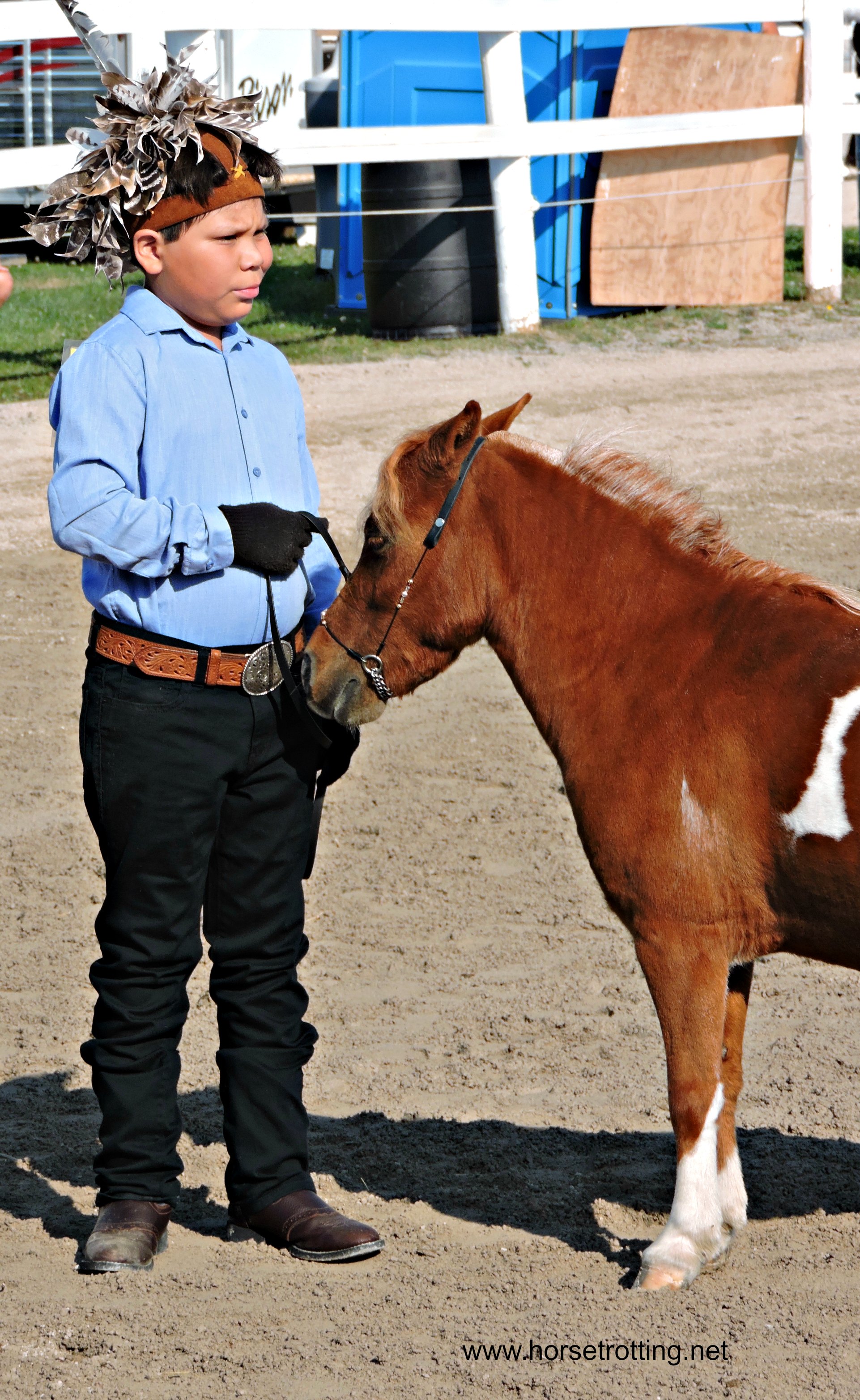 Fall Fair MIniature Horse Judging Competition