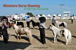 Fall Fair MIniature Horse Judging Competition