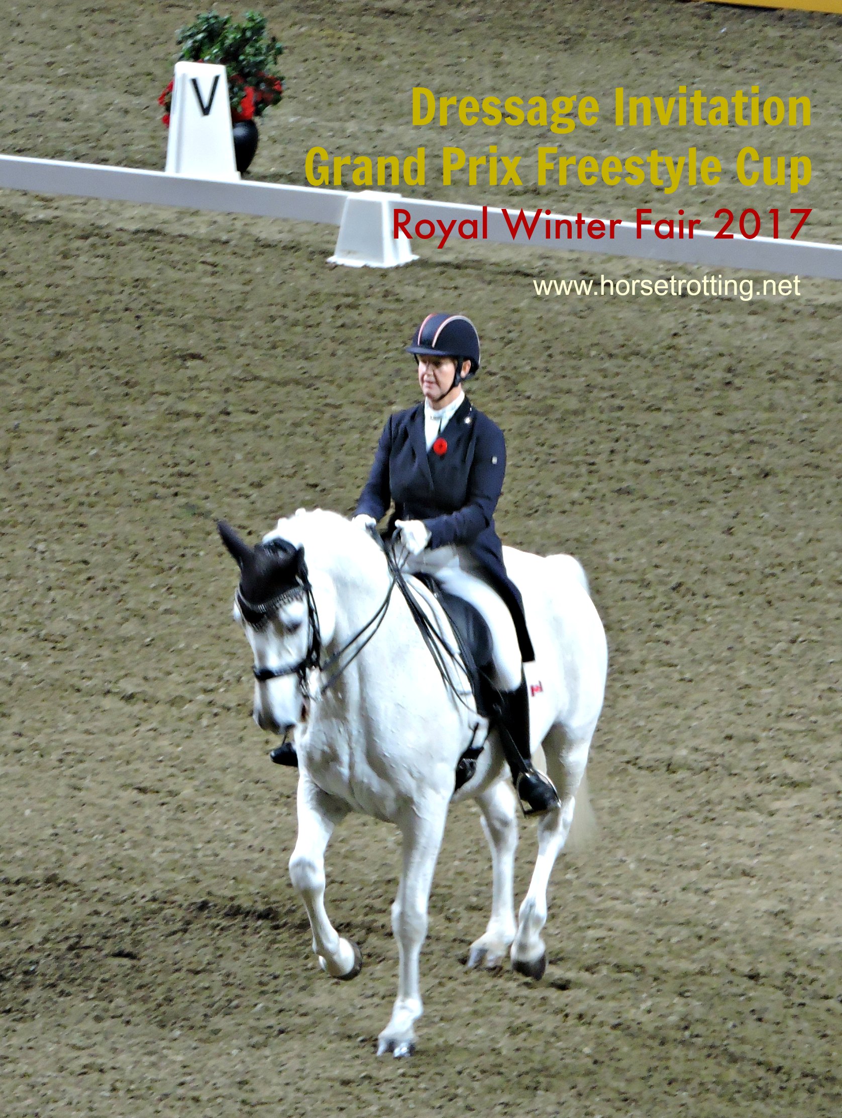 Dressage Invitation Grand Prix Freestyle Cup Royal Winter Fair 2017