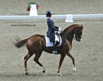 Dressage Invitation Grand Prix Freestyle Cup Royal Winter Fair 2017